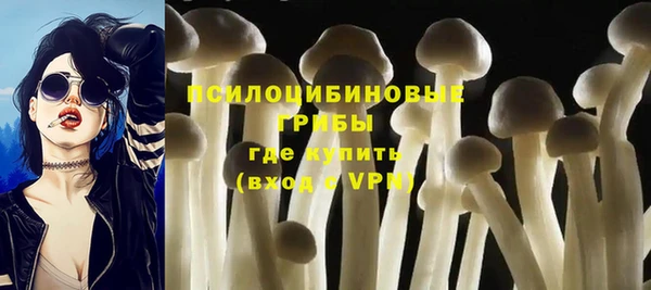 ALPHA-PVP Заводоуковск