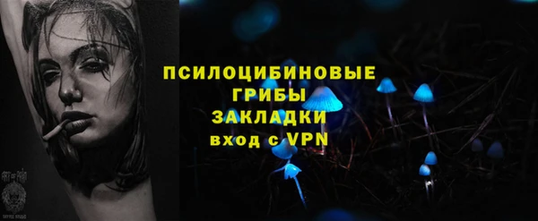 альфа пвп Заволжск