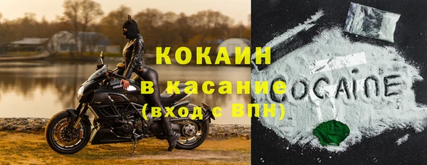 индика Слюдянка