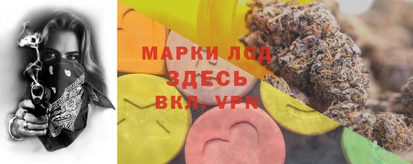 индика Слюдянка