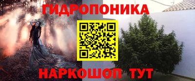 apvp Кимры