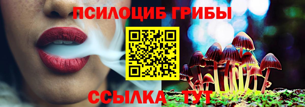 Саяногорск  Псилоцибиновые грибы GOLDEN TEACHER  Вход с VPN 